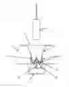 Fig. 01 - Partial coating of frozen confection