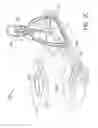 Fig. 09 - Domed water pipe with supporting tray