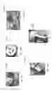 Fig. 79 - Domed water pipe with supporting tray