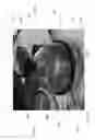 Fig. 90 - Domed water pipe with supporting tray