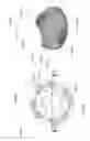 Fig. 94 - Domed water pipe with supporting tray