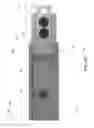 Fig. 09 - CHIN GUARD AND SYSTEM AND METHOD FOR USING SAME