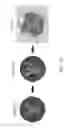 Fig. 22 - Device and method for outputting image onto surface of jewel by using pre-distorted image