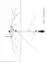 Fig. 02 - UMBRELLA