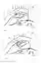 Fig. 09 - Cooking apparatus