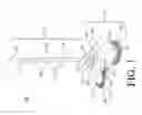 Fig. 02 - SWEEPING APPARATUS