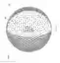 Fig. 12 - Bi-directional neuron-electronic device interface structures