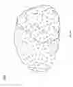 Fig. 13 - Bi-directional neuron-electronic device interface structures