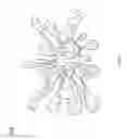 Fig. 14 - Bi-directional neuron-electronic device interface structures