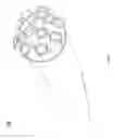 Fig. 16 - Bi-directional neuron-electronic device interface structures