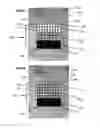 Fig. 03 - Systems and methods for hair loss management