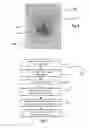 Fig. 06 - Systems and methods for hair loss management