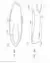Fig. 35 - Vein imager with a dual buffer mode of operation