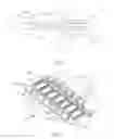 Fig. 06 - Sutureless device and methods for closing a tissue opening