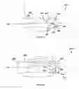Fig. 07 - Intervertebral spacer and plate
