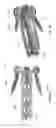 Fig. 32 - Intervertebral spacer and plate
