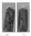 Fig. 02 - DECORATIVE POLISH COMPOSITION FOR NAILS AND A METHOD OF DECORATING NAILS WITH THE POLISH COMPOSITION