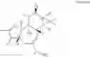 Fig. 02 - Compositions and methods of use of phorbol esters in the treatment of neoplasms