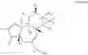 Fig. 53 - Compositions and methods of use of phorbol esters in the treatment of neoplasms