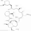 Fig. 02 - Solid dispersions comprising tacrolimus