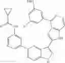 Fig. 950 - 3-(1H-pyrrolo[3,2-C]pyridin-2-YL)-1H-pyrazolo[3,4-C]pyridines and therapeutic uses thereof