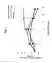Fig. 02 - Methods of Maintaining, Treating or Improving Cognitive Function