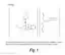 Fig. 02 - SEMI-SOLID TOPICAL COMPOSITION CONTAINING PIRFENIDONE AND MODIFIED DIALLYL DISULFIDE OXIDE (M-DDO) FOR ELIMINATING OR PREVENTING ACNE