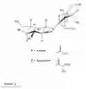 Fig. 11 - Oral pharmaceutical dosage forms