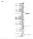 Fig. 02 - Pharmaceutical preparation containing oxycodone and naloxone