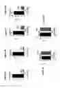 Fig. 06 - Pyrazole pyrimidine derivative and uses thereof