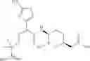 Fig. 124 - Therapeutic uses of pharmaceutical compositions comprising cyclic boronic acid ester derivatives