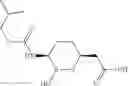 Fig. 158 - Therapeutic uses of pharmaceutical compositions comprising cyclic boronic acid ester derivatives
