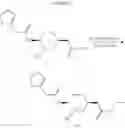 Fig. 82 - Therapeutic uses of pharmaceutical compositions comprising cyclic boronic acid ester derivatives