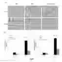 Fig. 09 - Use of ginsenoside M1 for treating IgA nephropathy