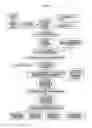 Fig. 05 - PHARMACEUTICAL-GRADE FERRIC ORGANIC COMPOUNDS, USES THEREOF AND METHODS OF MAKING SAME