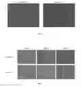 Fig. 02 - METHODS AND COMPOSITIONS FOR STEM CELL TRANSPLANTATION