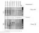 Fig. 02 - METHODS OF TREATING LYSOSOMAL STORAGE DISEASES
