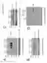 Fig. 06 - METHODS OF TREATING LYSOSOMAL STORAGE DISEASES