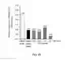 Fig. 07 - Method for regulating, preventing and/or treating pulmonary injury