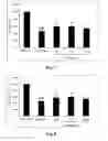 Fig. 08 - Beautyberry total glycosides extract and preparation method and use thereof