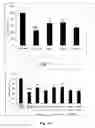 Fig. 09 - Beautyberry total glycosides extract and preparation method and use thereof