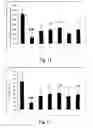 Fig. 10 - Beautyberry total glycosides extract and preparation method and use thereof