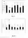 Fig. 11 - Beautyberry total glycosides extract and preparation method and use thereof