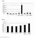 Fig. 02 - Composition containing cyclic dipeptide and sweetening agent