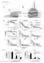 Fig. 02 - Engineered anthrax protective antigen proteins for cancer therapy