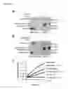 Fig. 04 - Engineered anthrax protective antigen proteins for cancer therapy