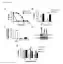 Fig. 06 - Engineered anthrax protective antigen proteins for cancer therapy