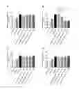 Fig. 01 - Peptidylic inhibitors targeting C9ORF72 hexanucleotide repeat-mediated neurodegeneration