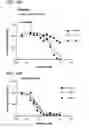 Fig. 28 - COMBINATION THERAPIES FOR MODULATION OF HISTONE METHYL MODIFYING ENZYMES