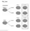 Fig. 33 - COMBINATION THERAPIES FOR MODULATION OF HISTONE METHYL MODIFYING ENZYMES